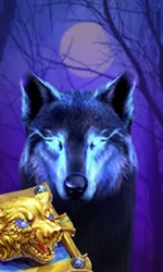 Book Of The Night Wolf