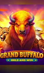 Buffalo Hold And Win